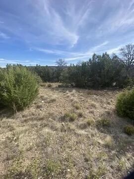 36 Camino Coyote, Edgewood, NM 87015 Main Photo