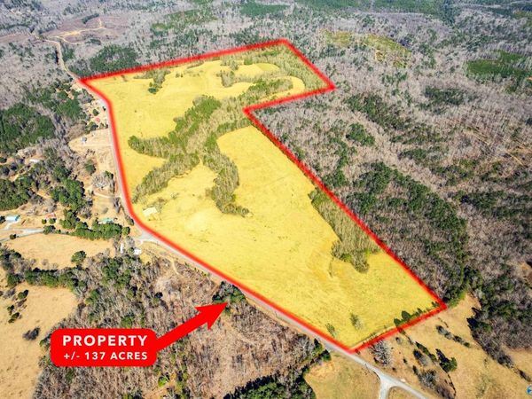 137 acres County Road 63, Houston, AL 35572