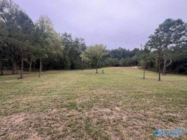 32 Acres Wesson Gap Road, Attalla, AL 35954