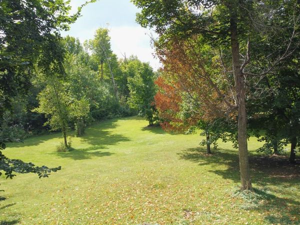 XXX 365th Street, Ottertail, MN 56571