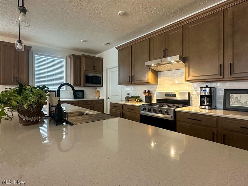 8139 Brookview Lane, Mentor, OH 44060 Photo 6