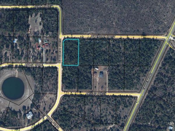 TBD Beaverhead Street, Alford, FL 32420