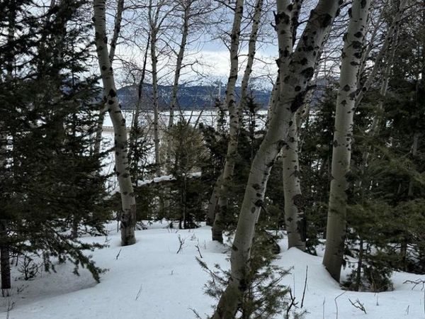 4788 Balsam Street, ISLAND PARK, ID 83429