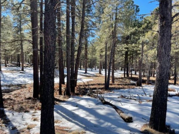 2692 STATE ROUTE 260 Route, Unit 895, Forest Lakes, AZ 85931