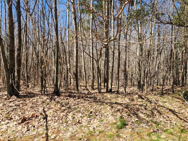 W Starlight Ridge Circle, Unit 62, Onekama, MI 49675