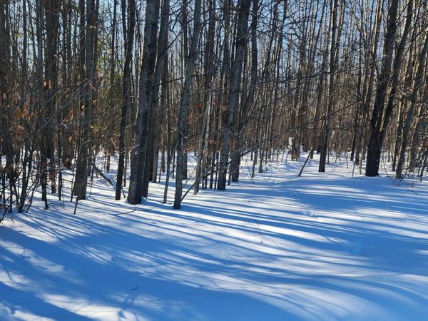 W Starlight Ridge Circle, Unit 62, Onekama, MI 49675