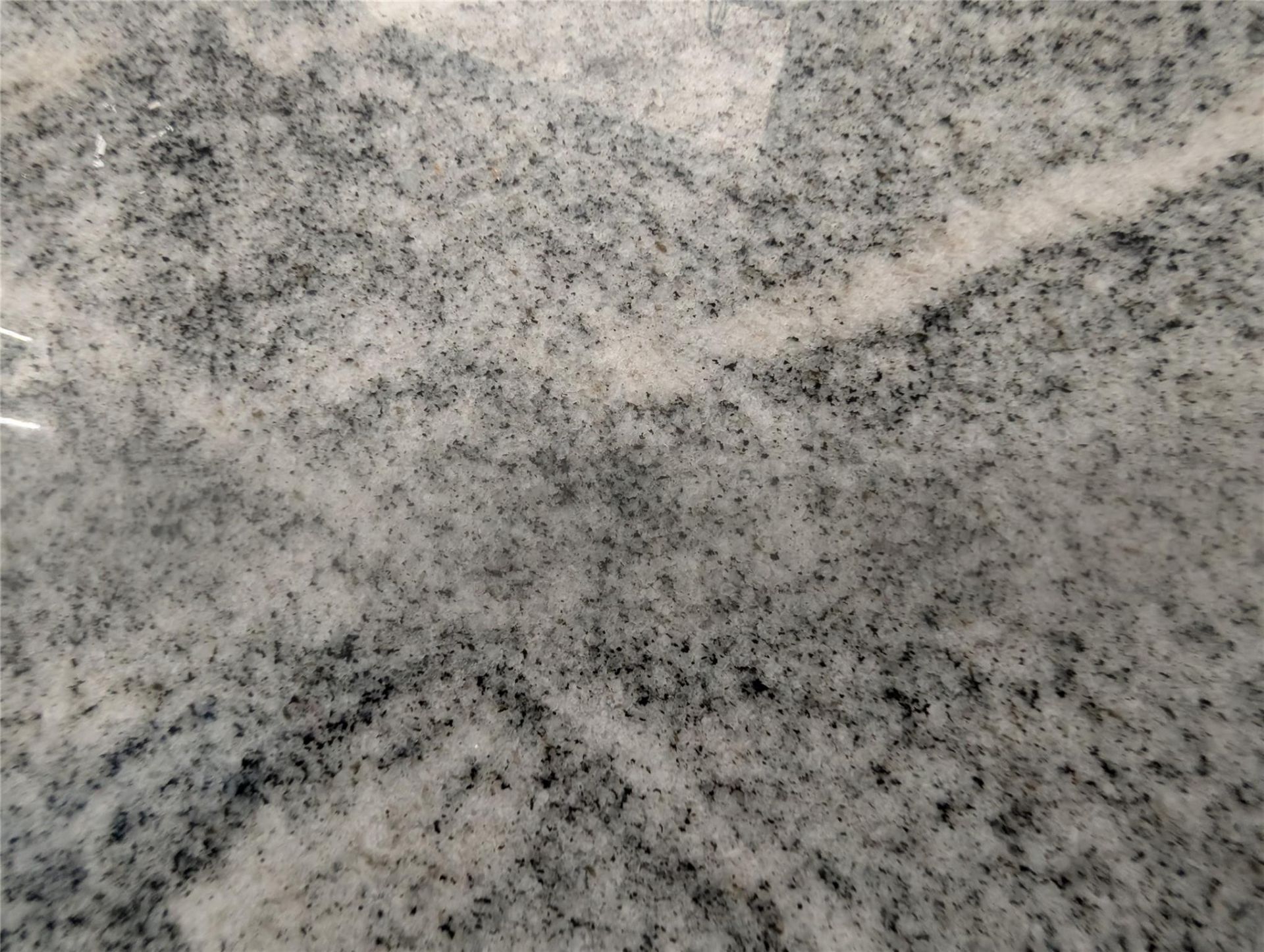 16070 SW 89th Avenue Road, Palmetto Bay, FL 33157 Photo