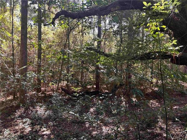 0 Neck Road, Mobile, AL 36695