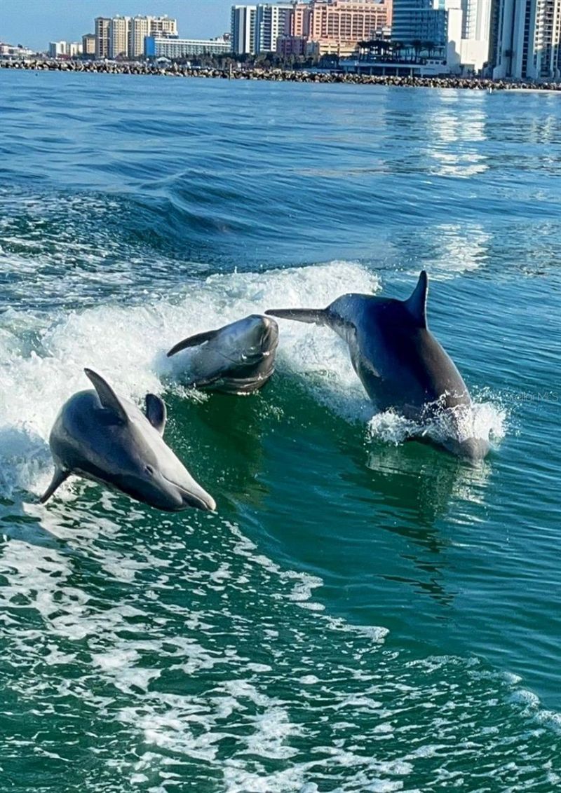 12760 SW Lake Side Drive, Arcadia, FL 34269 Photo