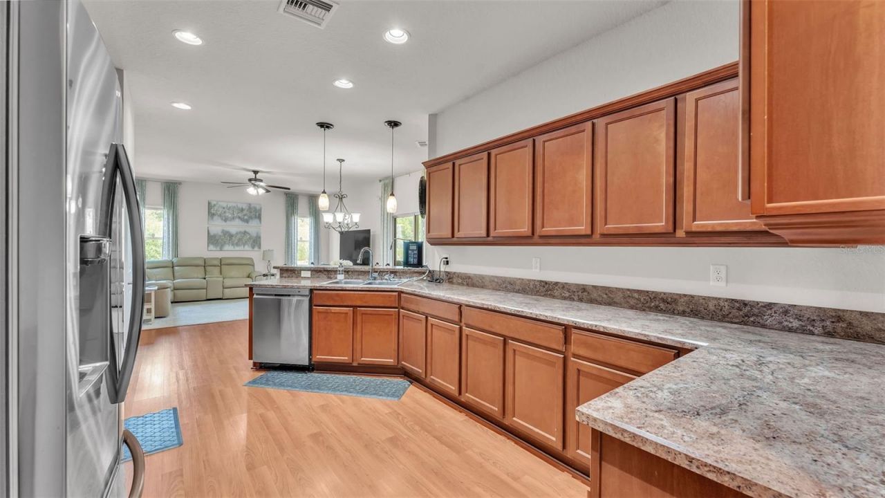 2932 Blackwater Oaks Drive, Mulberry, FL 33860 Photo