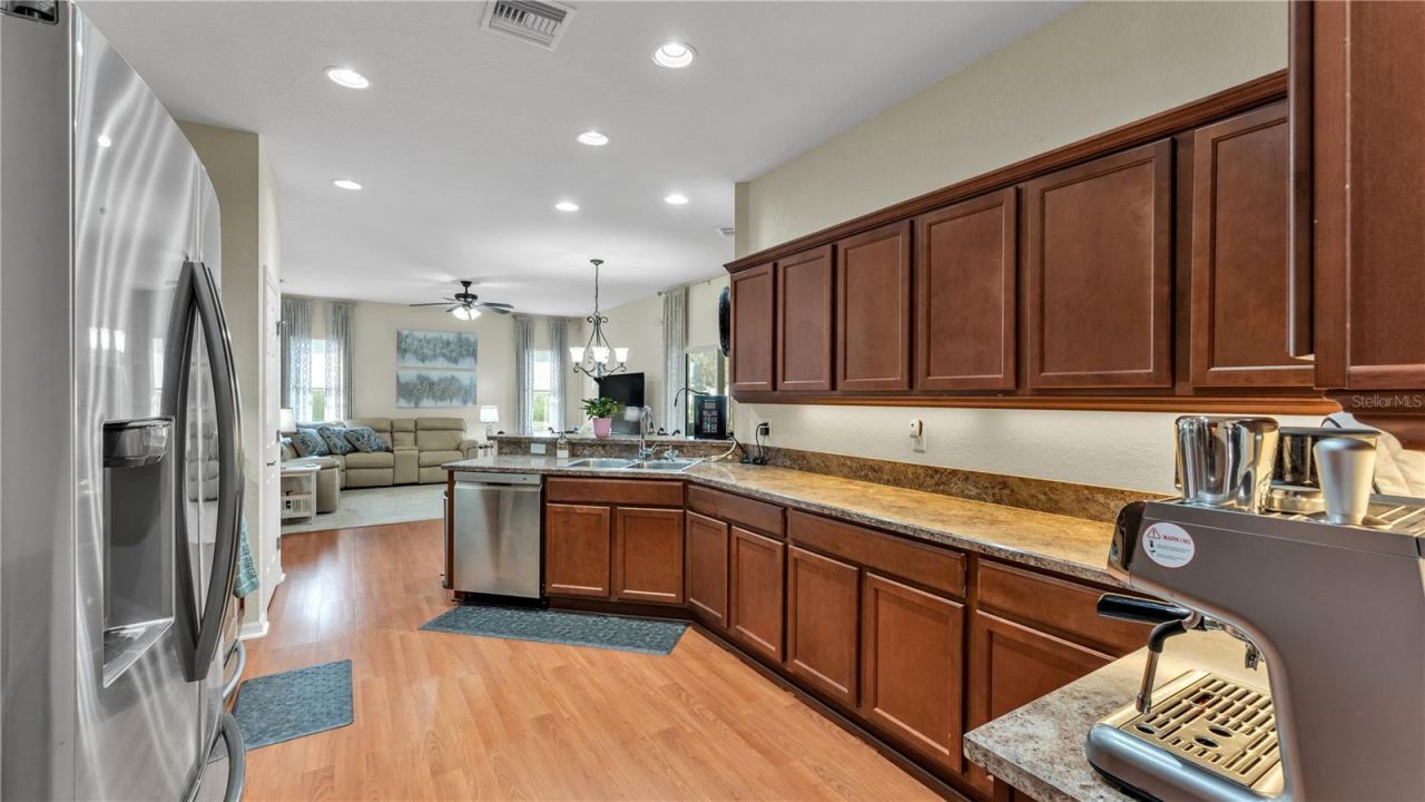 2932 Blackwater Oaks Drive, Mulberry, FL 33860 Photo