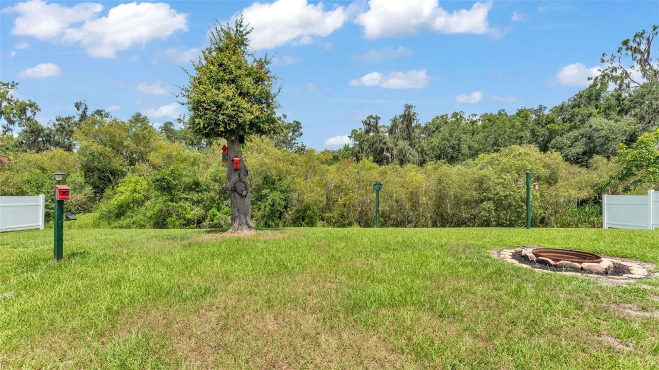 2932 Blackwater Oaks Drive, Mulberry, FL 33860 Photo