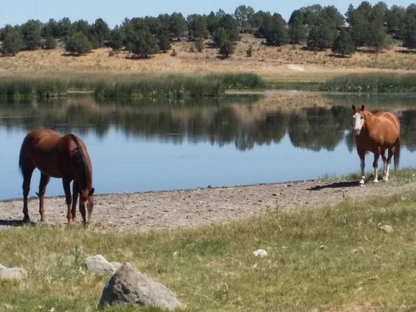 0 Sprague River Highway, Sprague River, OR 97639