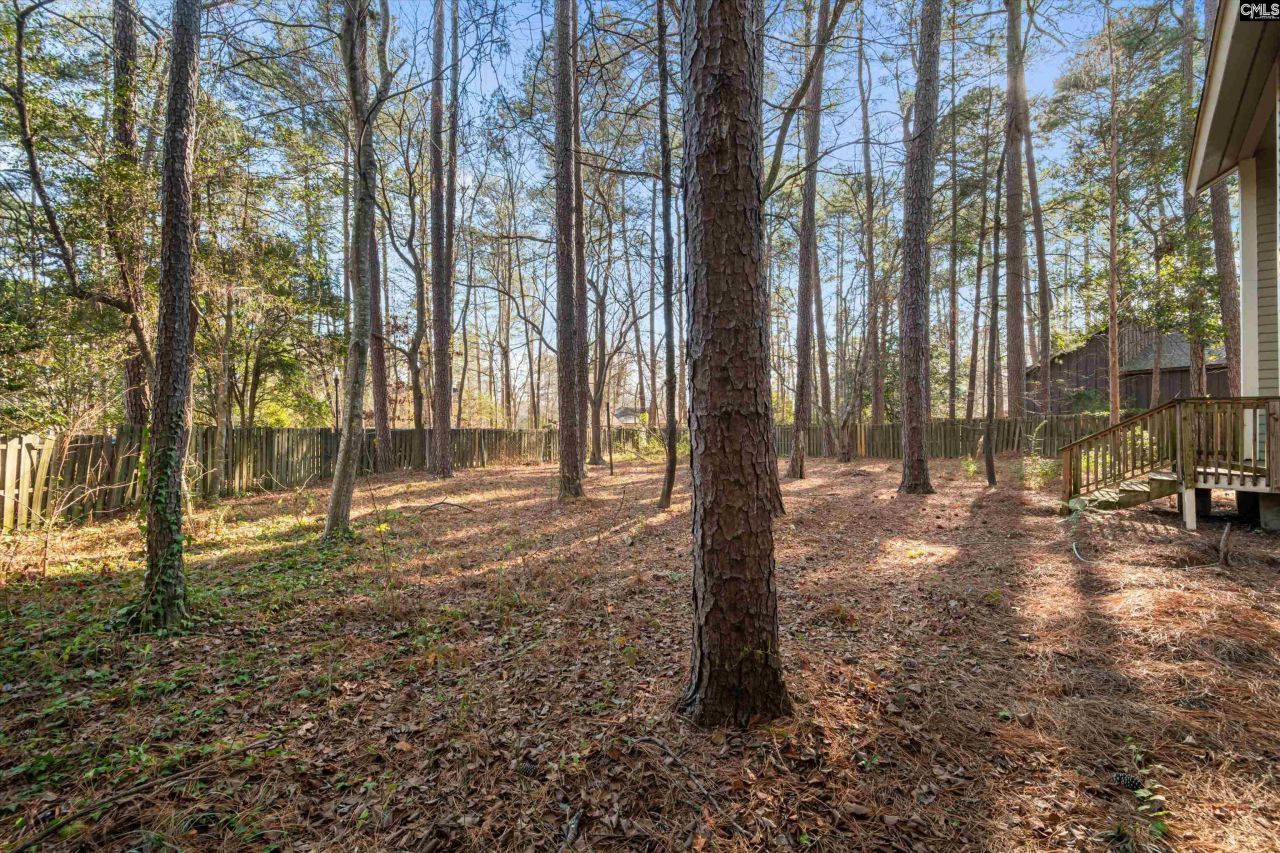 140 Forest Fern Road Photo 33