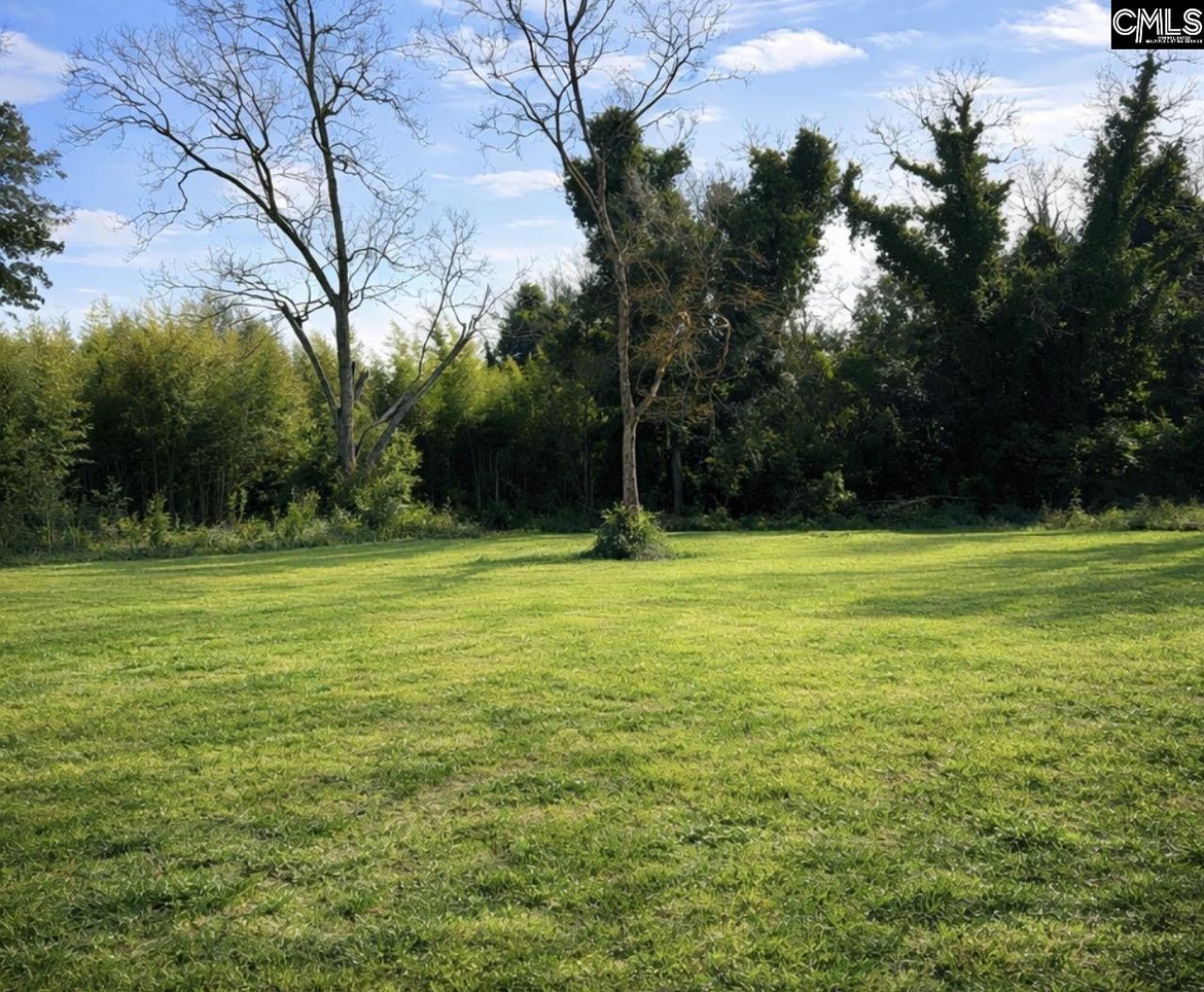 125 Aiken Street Photo 15