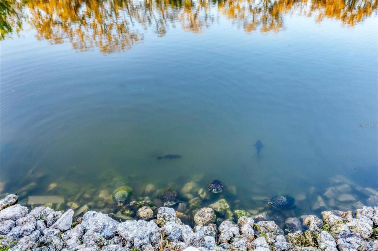 3912 14th Street E, Ellenton, FL 34222 Photo