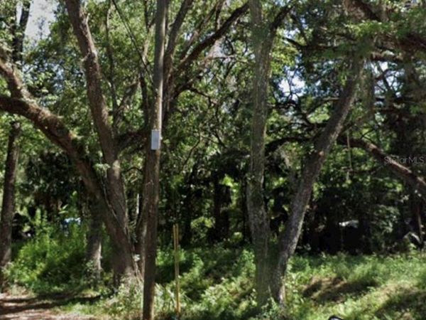 TBD TWIGG STREET, BROOKSVILLE, FL 34601