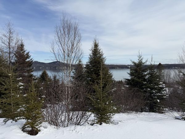 M6 L60-65 Gravel Road , Robbinston, ME 04671