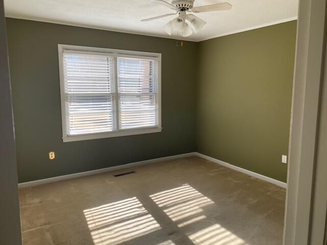 304 Greenbay Street Photo 15