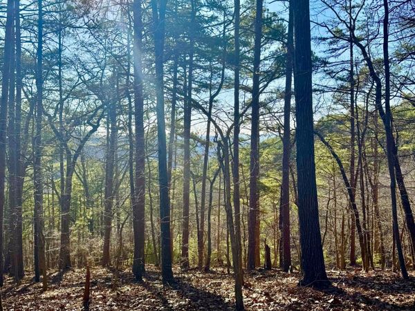 334 Packet Court, Ranger, GA 30734