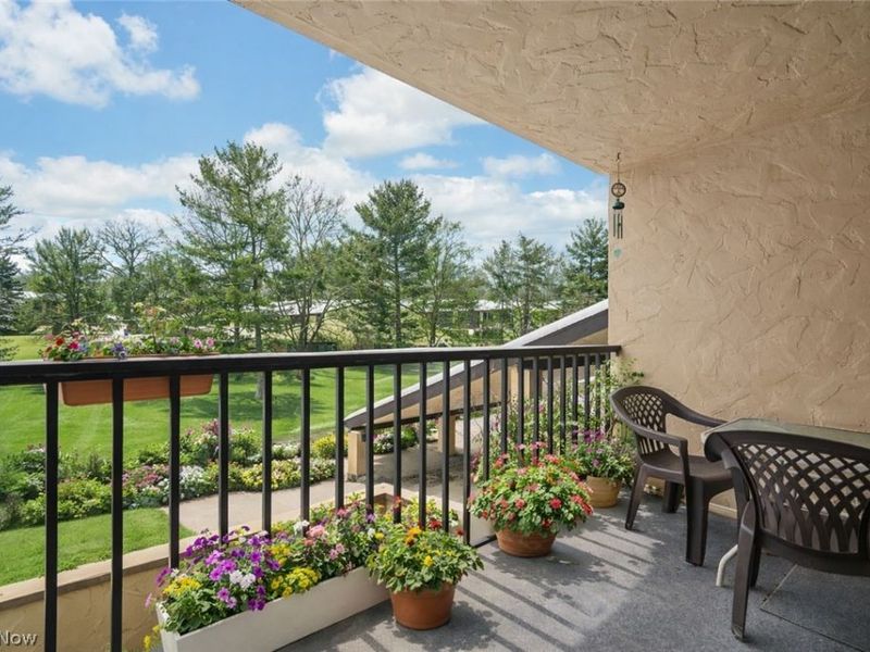 1006 Bunker Drive, Unit 203, Fairlawn, OH 44333 Photo 4