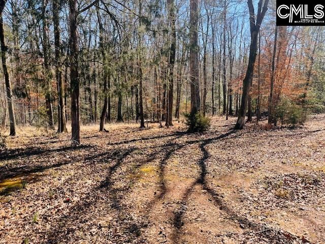 Maple Knoll Road Photo 11