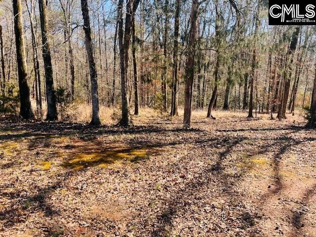 Maple Knoll Road Photo 12