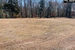 Maple Knoll Road photo 4