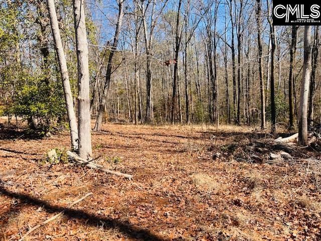 Maple Knoll Road Photo 6