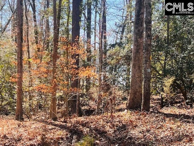 Maple Knoll Road Photo 8