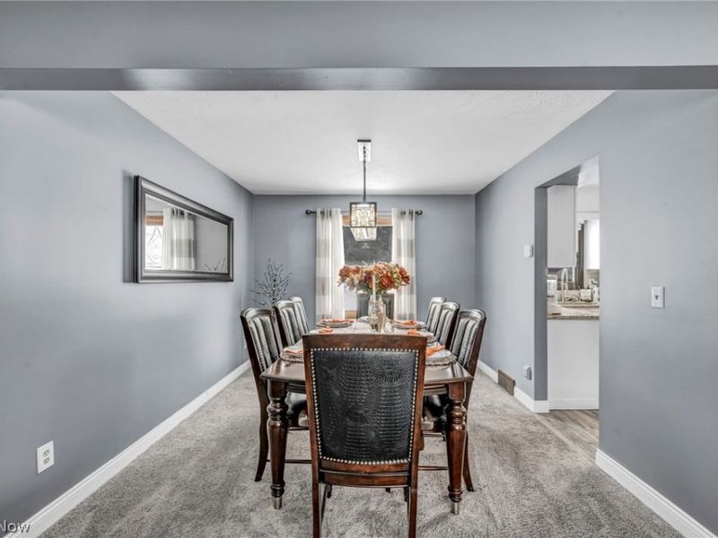 931 Daryl Drive, Cleveland, OH 44124 Photo 11