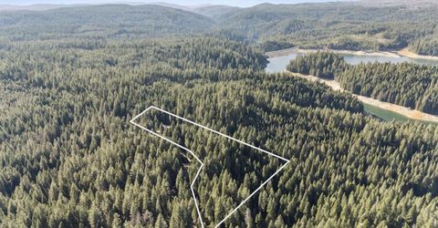 13887 La Porte Rd, Strawberry Valley, CA 95981 Photo