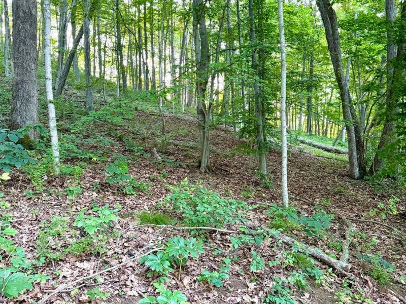 0 Carrs Run, Jackson Twp, OH 45613 Photo 11