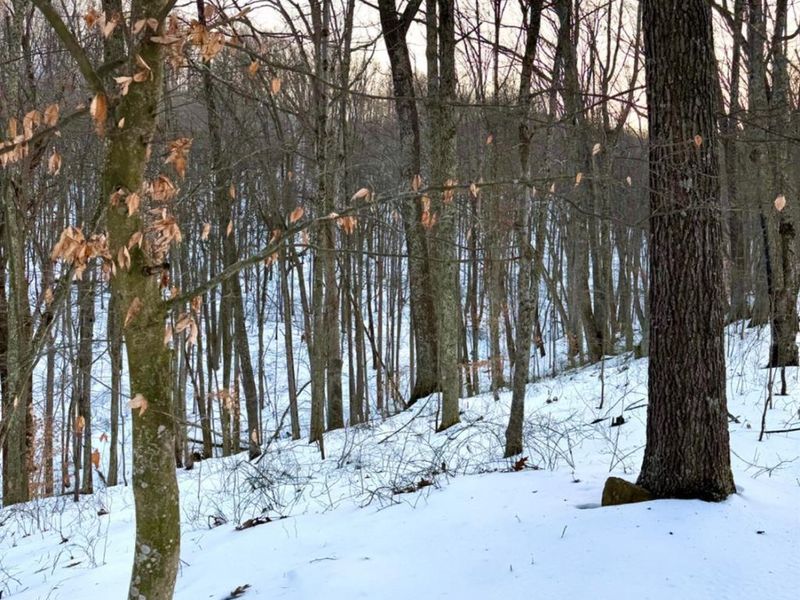 0 Carrs Run, Jackson Twp, OH 45613 Photo 11