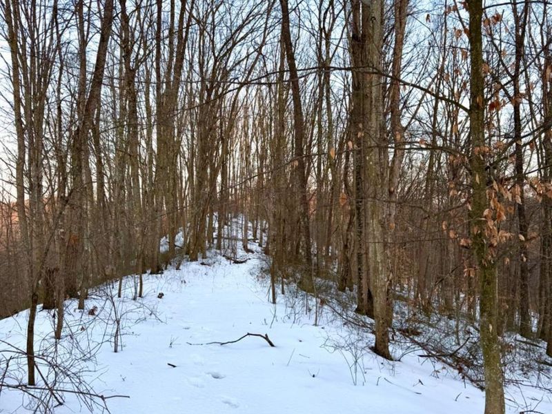 0 Carrs Run, Jackson Twp, OH 45613 Photo 12