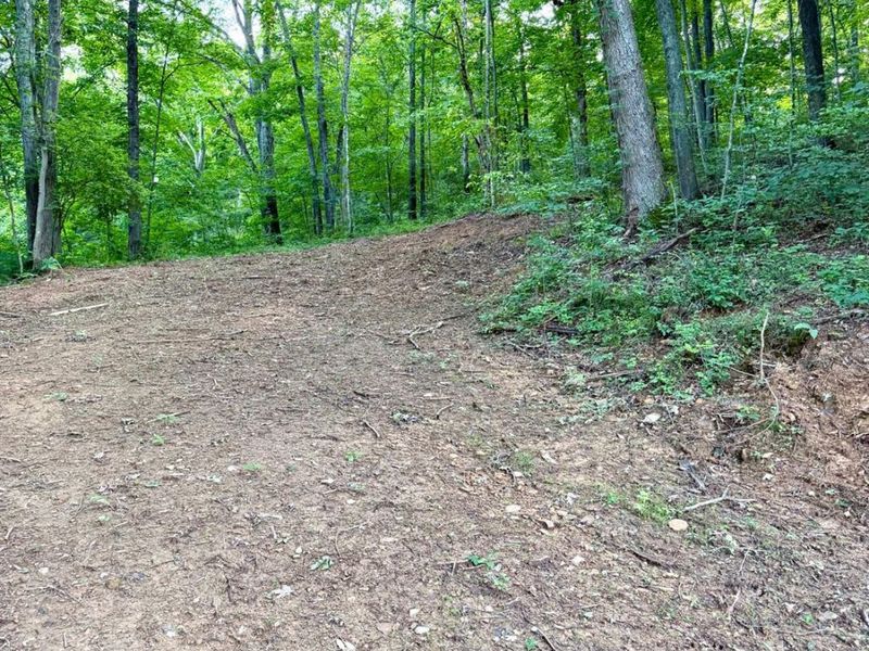 0 Carrs Run, Jackson Twp, OH 45613 Photo 13