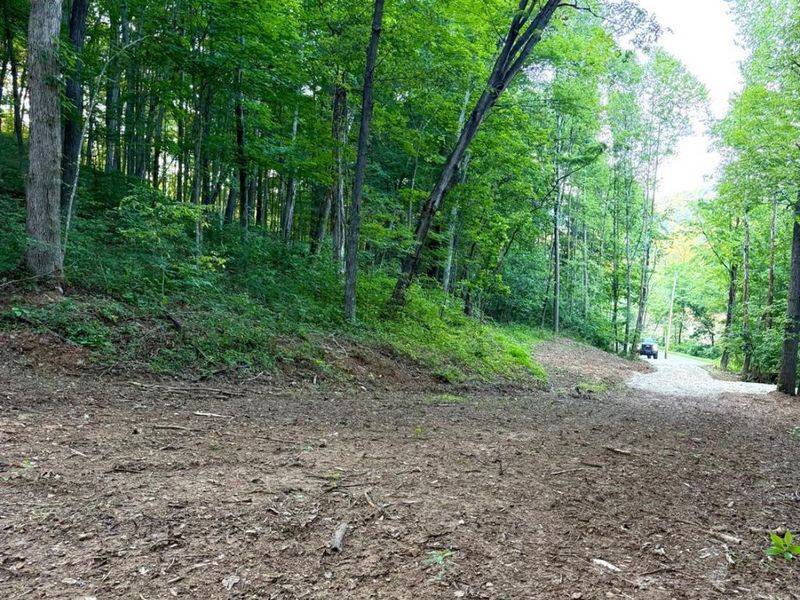 0 Carrs Run, Jackson Twp, OH 45613 Photo 14