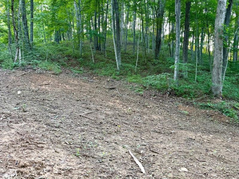 0 Carrs Run, Jackson Twp, OH 45613 Photo 15