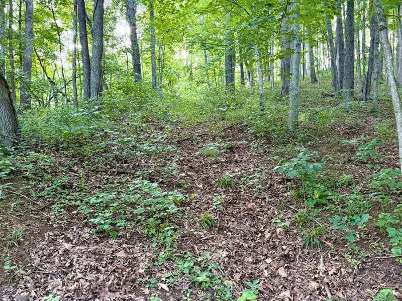 0 Carrs Run, Jackson Twp, OH 45613 Photo 16