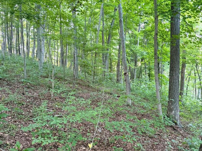 0 Carrs Run, Jackson Twp, OH 45613 Photo 17