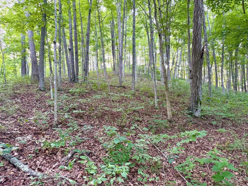 0 Carrs Run, Jackson Twp, OH 45613 Photo 18