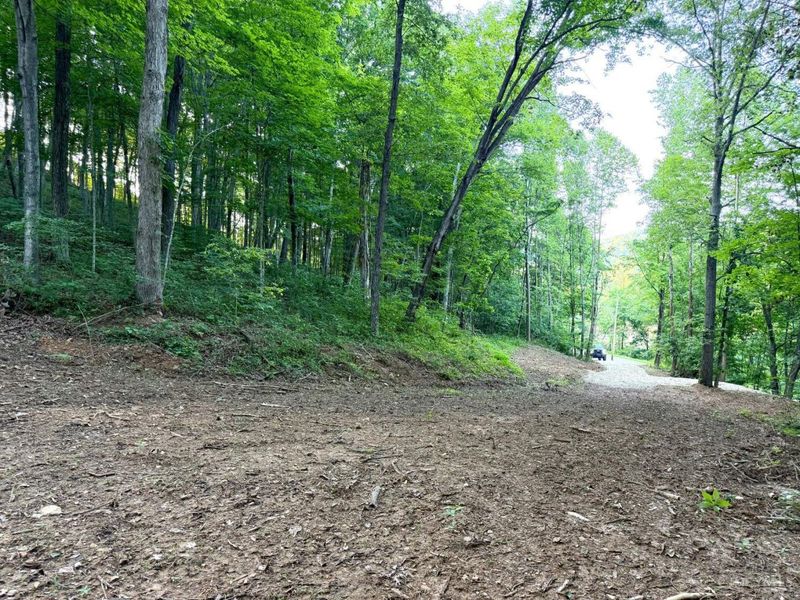 0 Carrs Run, Jackson Twp, OH 45613 Photo 2