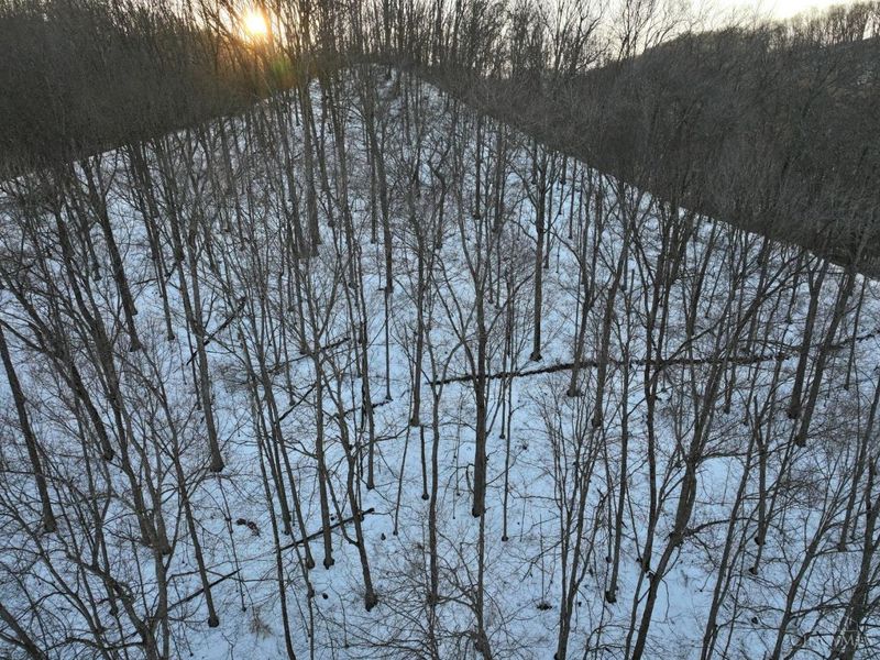 0 Carrs Run, Jackson Twp, OH 45613 Photo 29