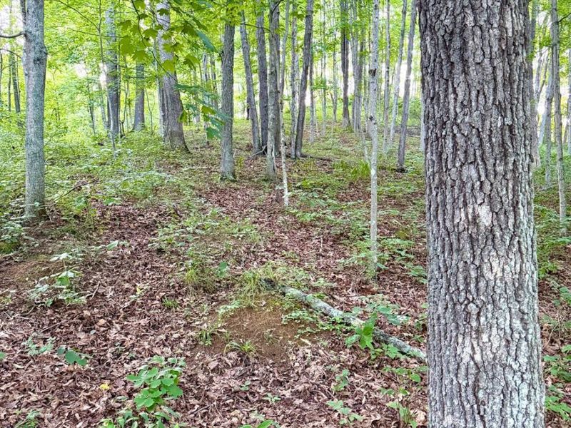 0 Carrs Run, Jackson Twp, OH 45613 Photo 3