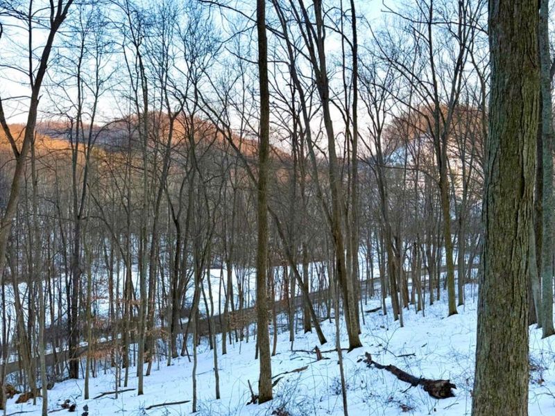 0 Carrs Run, Jackson Twp, OH 45613 Photo 3