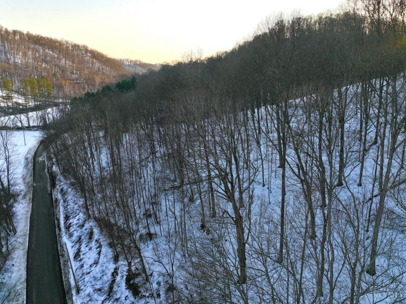 0 Carrs Run, Jackson Twp, OH 45613 Photo 30