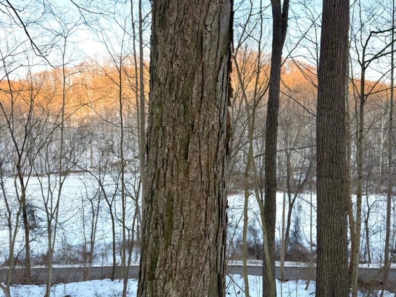 0 Carrs Run, Jackson Twp, OH 45613 Photo 33