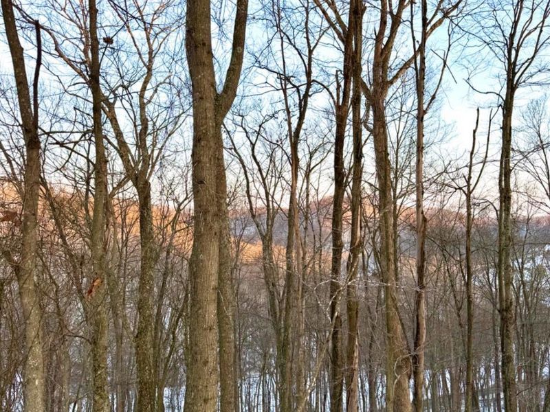 0 Carrs Run, Jackson Twp, OH 45613 Photo 36