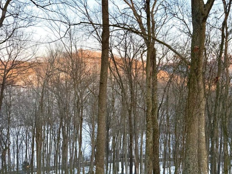 0 Carrs Run, Jackson Twp, OH 45613 Photo 37