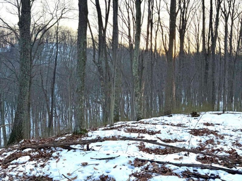 0 Carrs Run, Jackson Twp, OH 45613 Photo 38